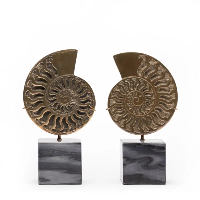 Ammonite Brass & Marble Objec