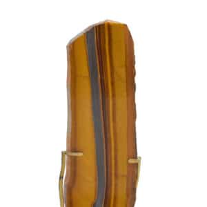 Tiger Eye on Stand 1