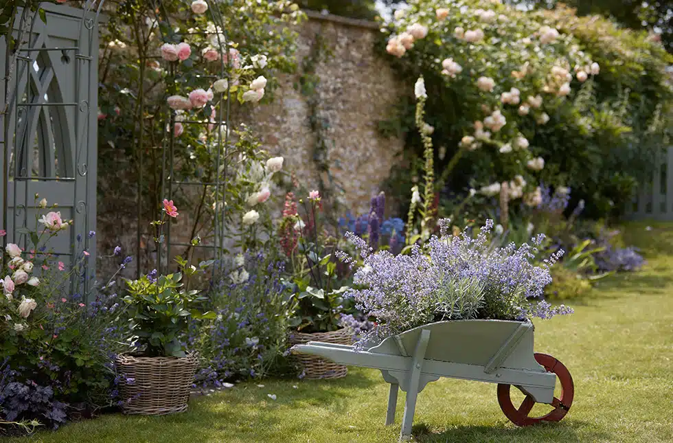 A wheelbarrow of flowers in an english garden in the sun