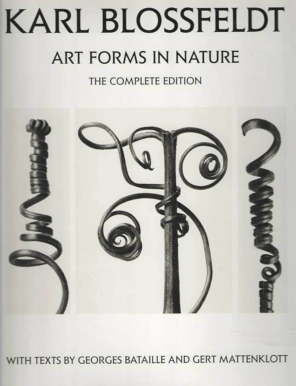 art forms in nature is an iconic book that stands the test of time, classic inspiration for katharine pooley