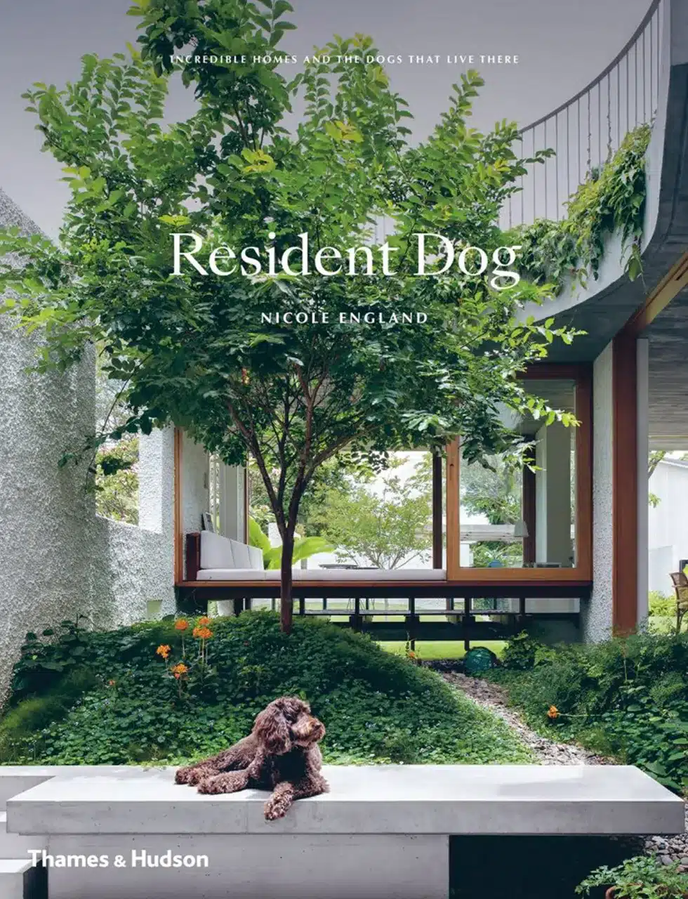 resident dog a heartwarming book exploring buildings and our dogs katharine pooley interior design