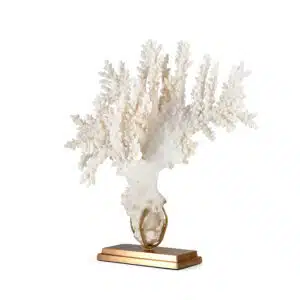 white coral