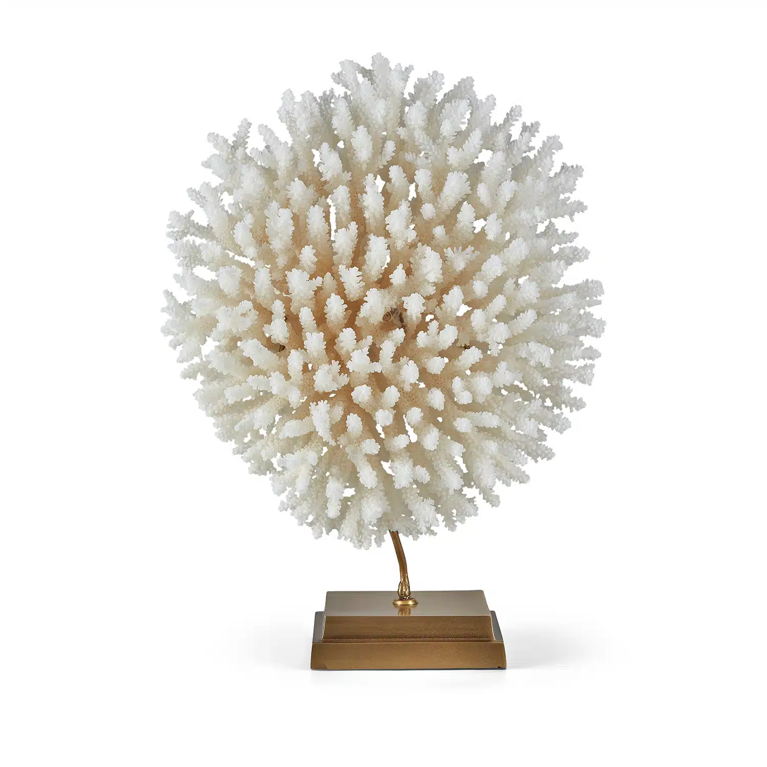 Coral-on-Stand