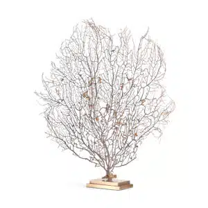 sea fan