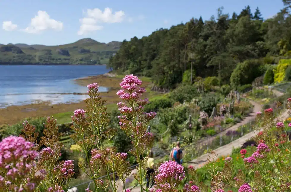 A beautiful coastal garden in scotland, one of katharine pooleys favourites as an interior designer