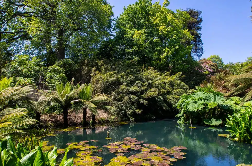The lost gardens of heligan are a must see in cornwall, one of interior designer katharine pooleys favourites
