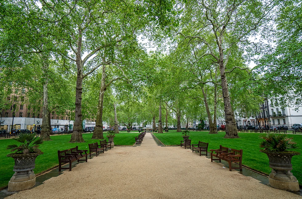 Berkeley Square in London's super prime district of Mayfair